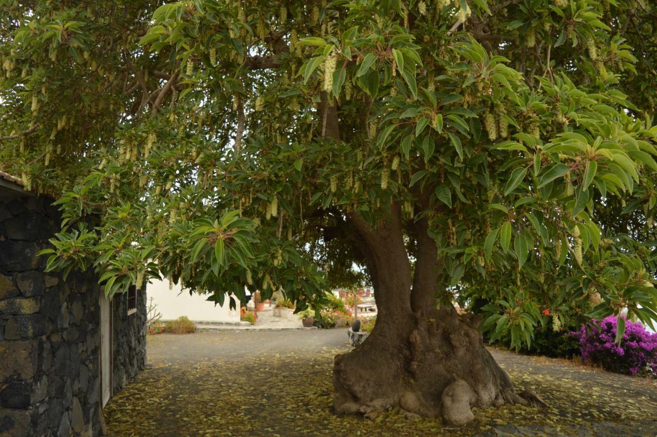 Casona Rural Los Melindros Los Quemados Exteriör bild